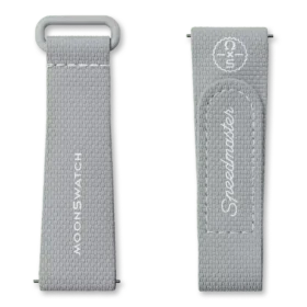 Moonswatch Grey/Grey Rubber