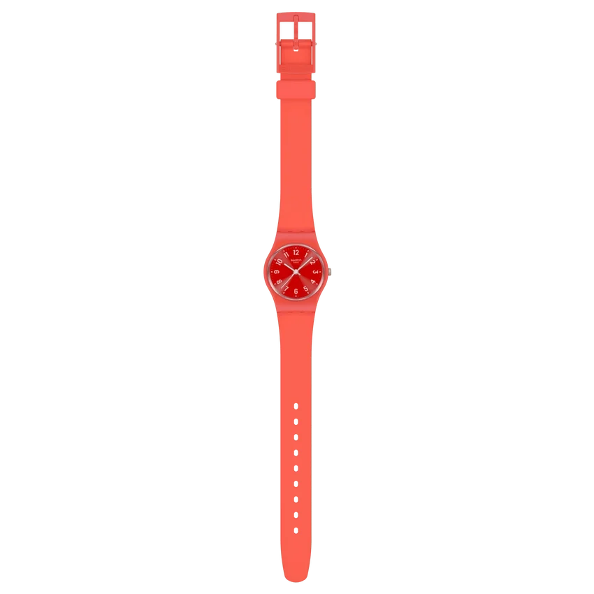 Notes of Coral