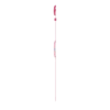 Radiantly Pink